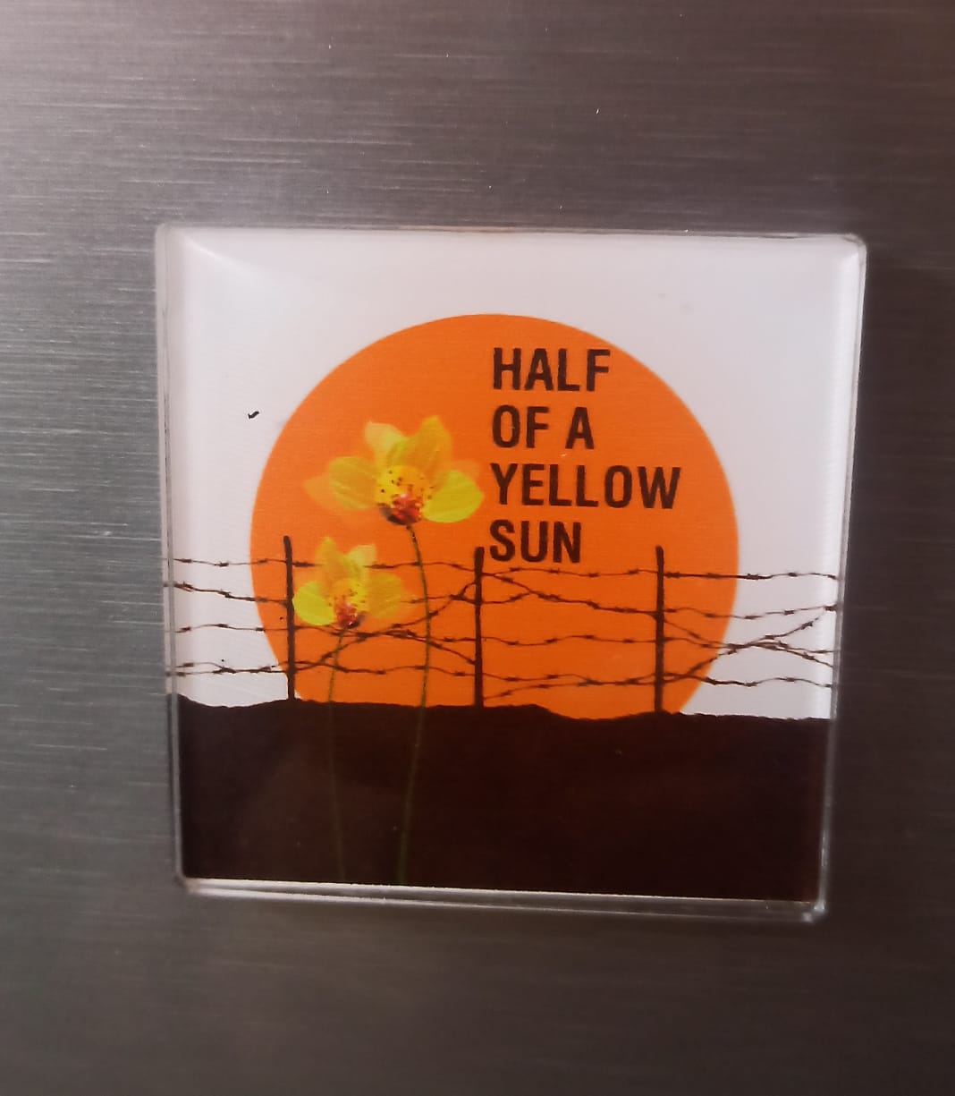 Fridge Magnet Combo - Pack of 15